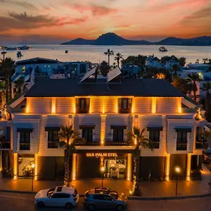  Hotel Sea Palm